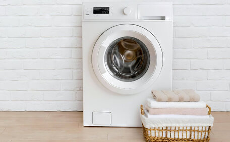 Tree Roots Block Drains